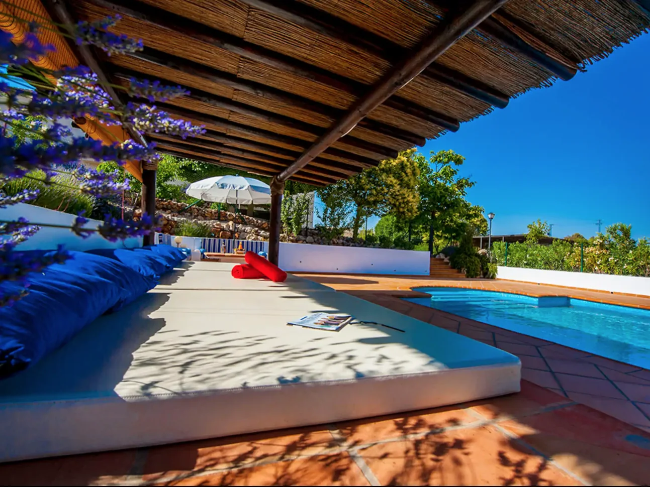 Shaded poolside daybed under a pergola