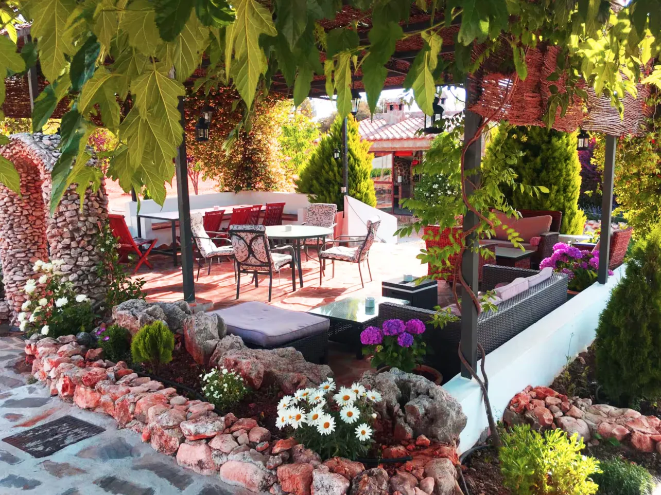 Outdoor dining and lounge area under a vine-covered pergola